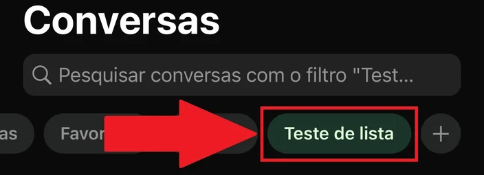 Como criar uma lista de contatos no WhatsApp? 4 image 15