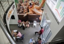 Mais de 10 mil atendimentos gratuitos em Roraima pelo Programa de Bem-Estar Animal