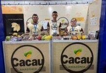 Produtores de cacau do Sul apresentam produtos na Expoferr 2025.