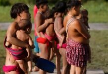 Óbitos na Terra Yanomami diminuem 27,6% após emergência
